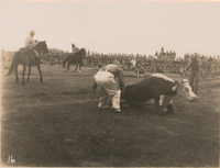 Carter Collection Photograph 795