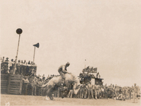 Carter Collection Photograph 803