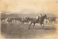 Carter Collection Photograph 861